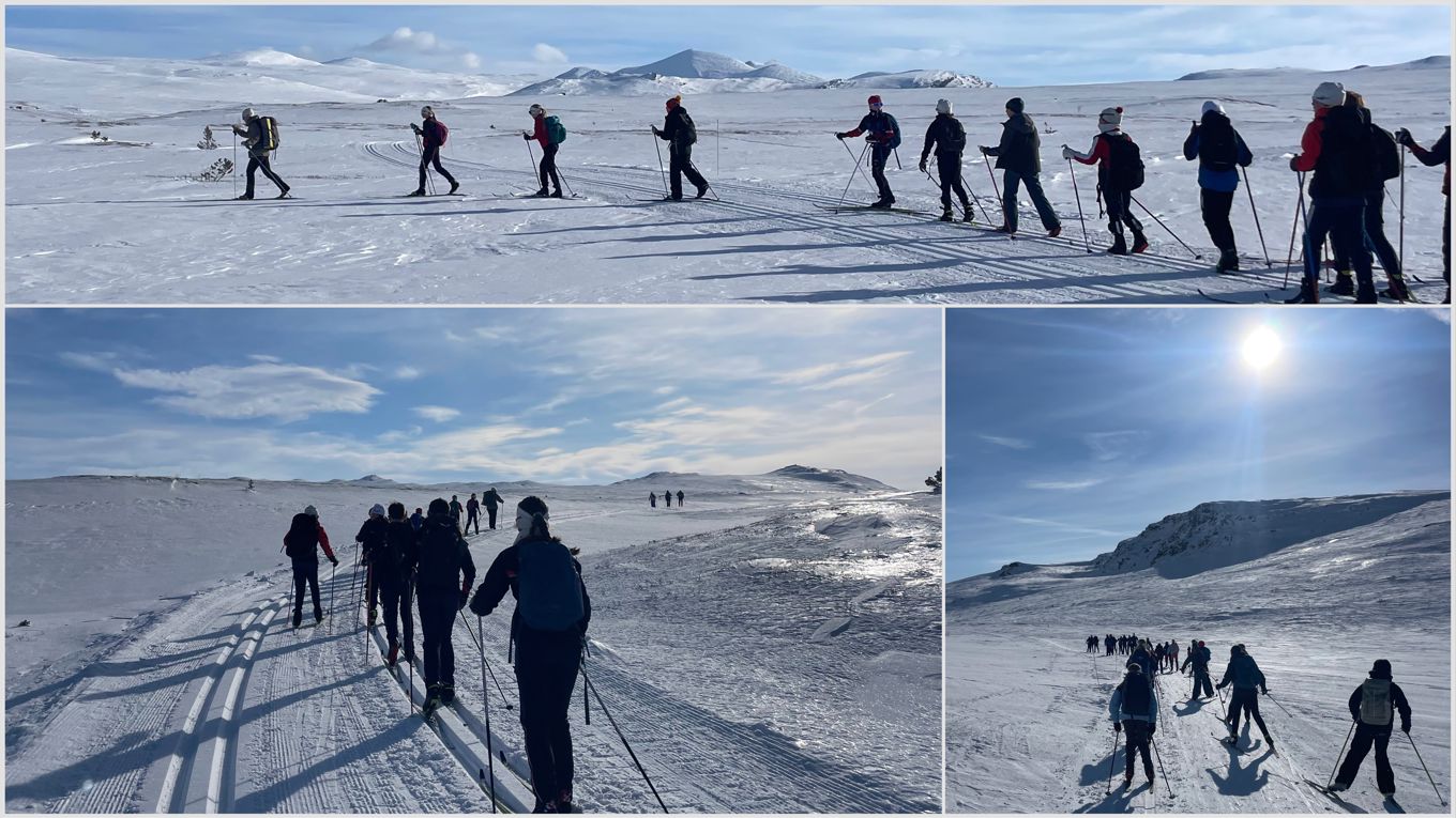 Tre bilder av elever på skitur i åpent fjellandskap i strålende sol.