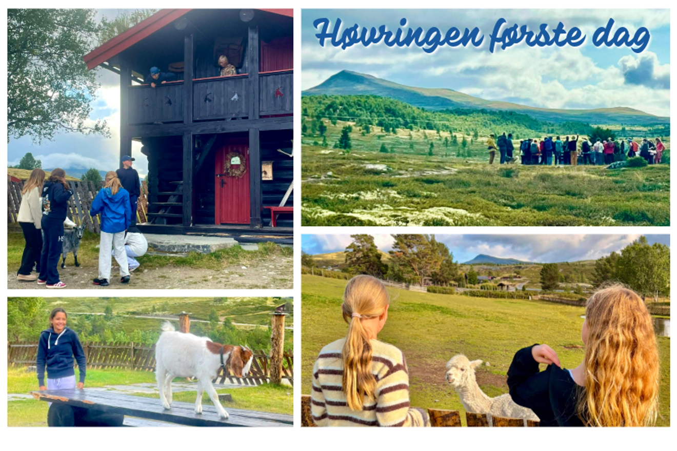 En collage som viser bilder av elvever på leirskolen, med geiter, en lama og på vei til fjells.