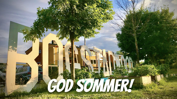 Bilde av skolehagen